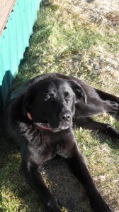 Its a good to not need to wear clothes!!!