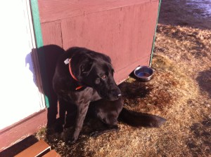 "Did you forget something?"